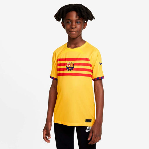 Nike Cuarta Equipación F.c. Barcelona 2023-2024