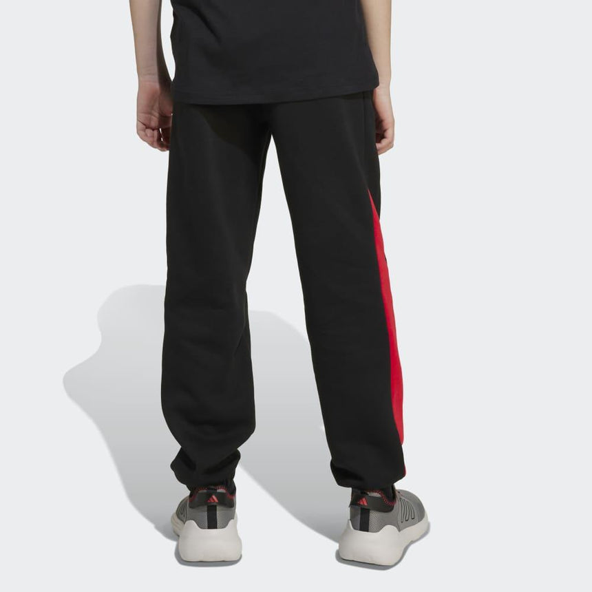 adidas Pantalón Seasonal Essentials Colorblock (adolescentes)