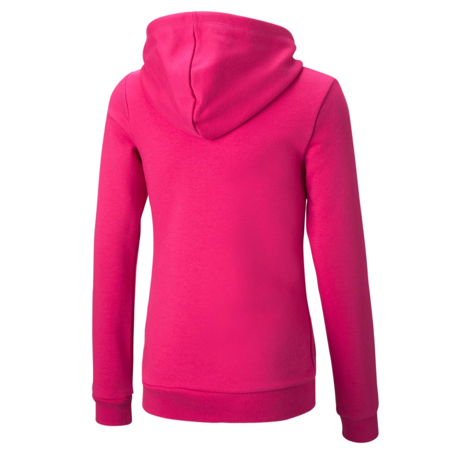 Puma Essesential Logo Hoodie