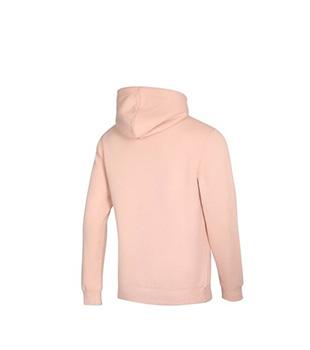 Champion Hooded Sweatshirt