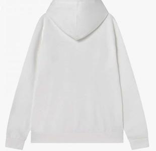 Champion Hooded Sweatshirt