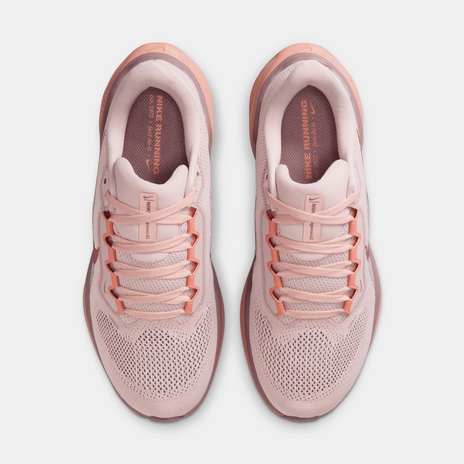 Zapatillas De Running Nike Pegasus 41