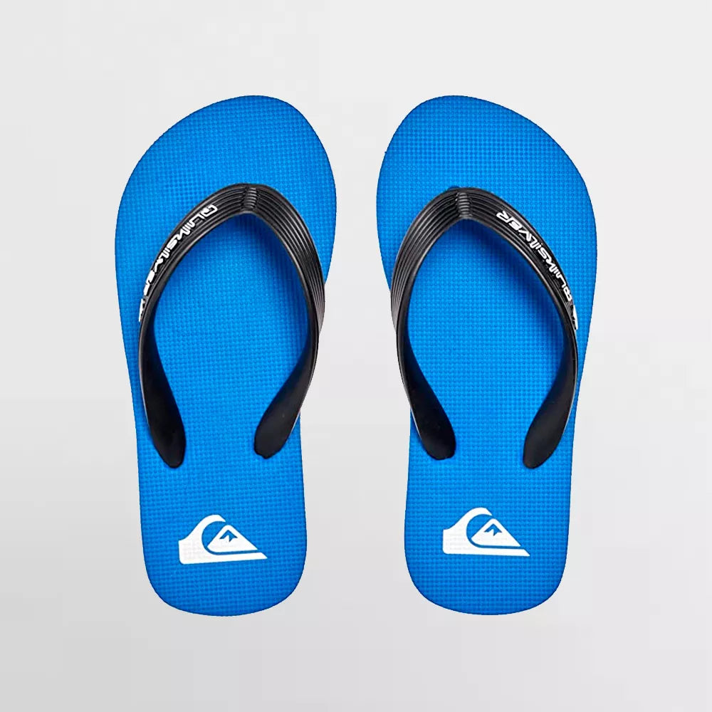 Quiksilver Molokai Core