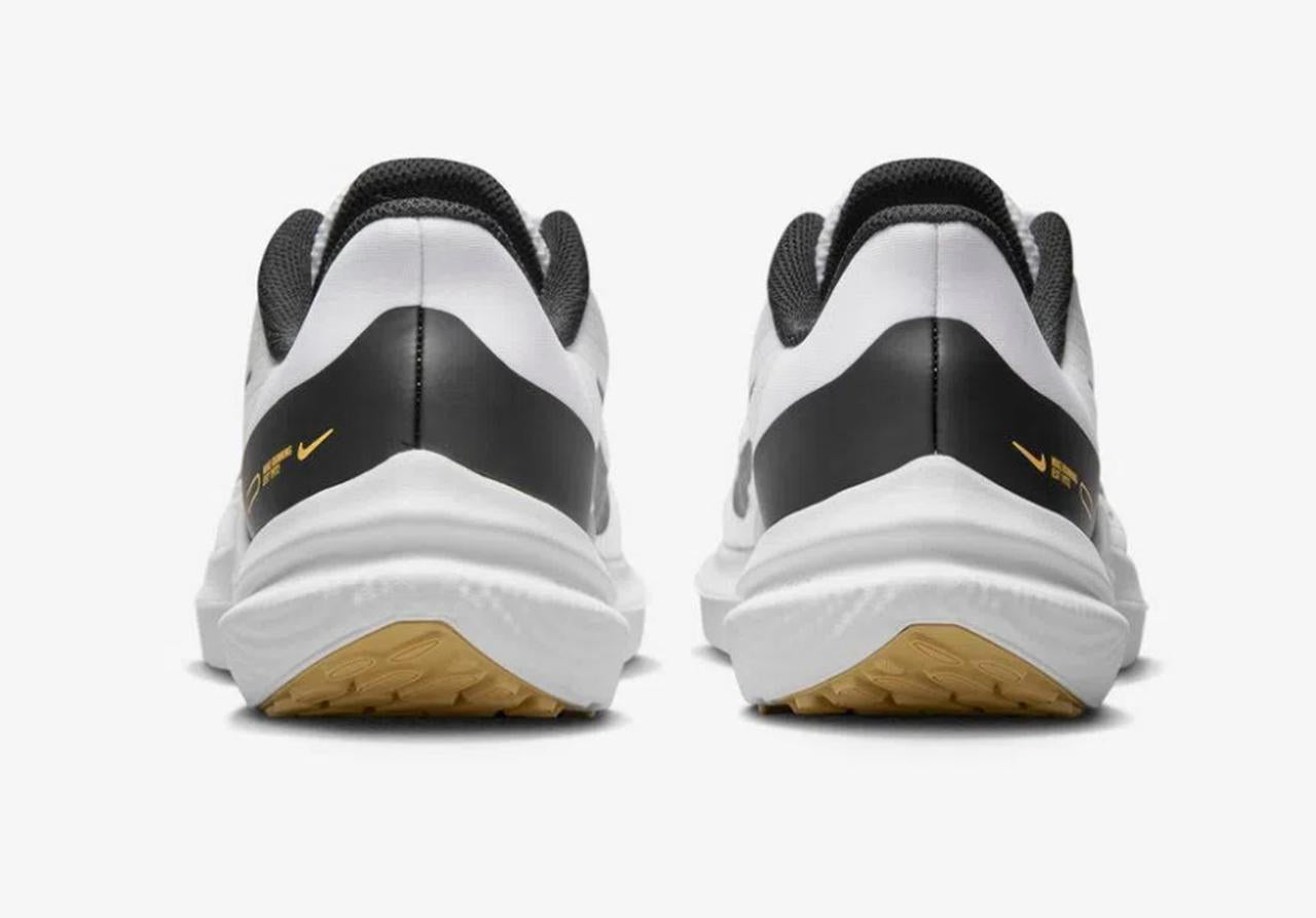 Nike Air Winflo 9 Women's Road Runn