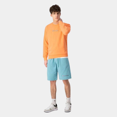 Champion Translucent Script Logo Elasticated Shorts