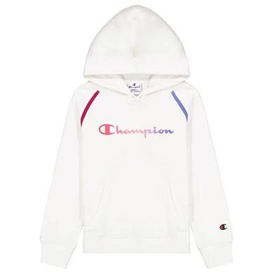 Champion Hooded Sweatshirt