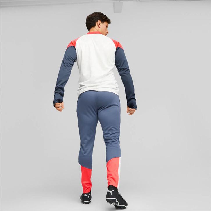 Puma Individualcup Traini
