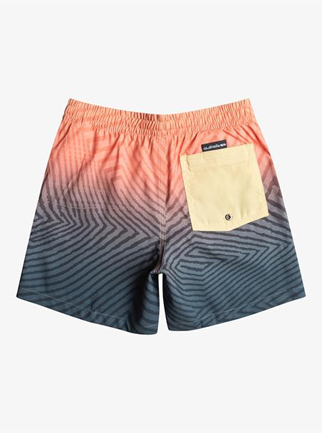 Quiksilver Warped Logo 14