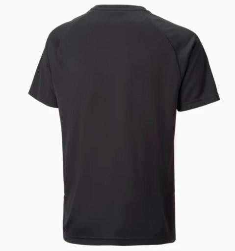 Puma Teamliga Graphic Jer