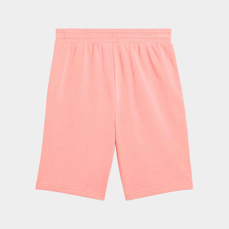 Shorts Puma Ess 2 Color Logo