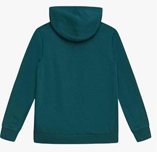 Champion Hooded Sweatshirt