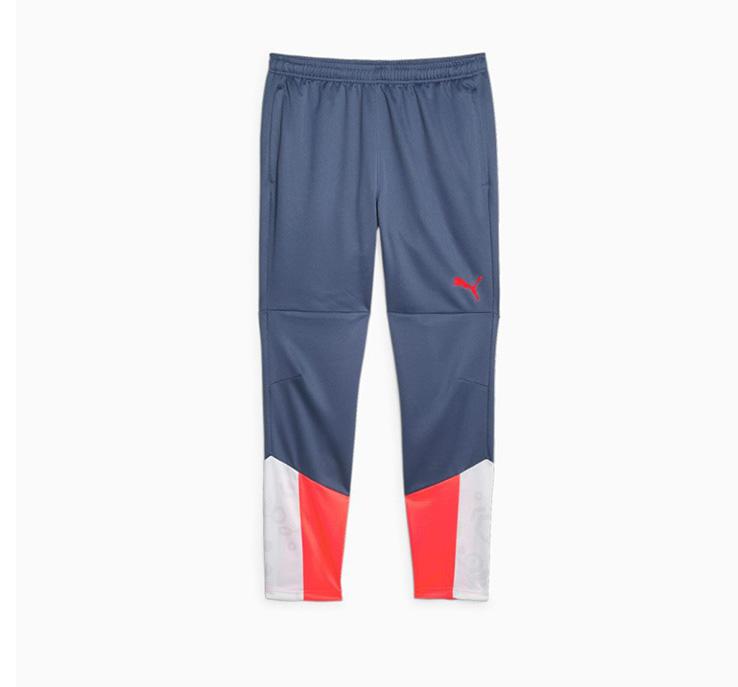 Puma Individualcup Traini