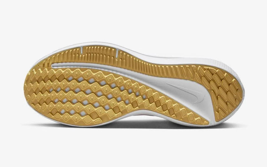 Nike Air Winflo 9 Women's Road Runn