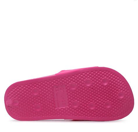 Champion Slide Daytona G ps