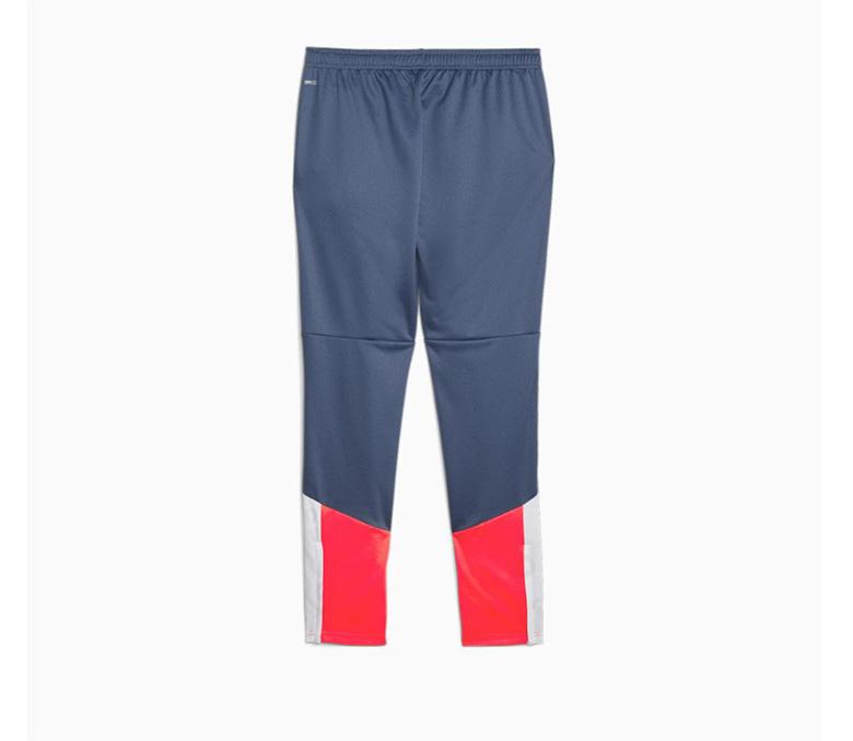 Puma Individualcup Traini