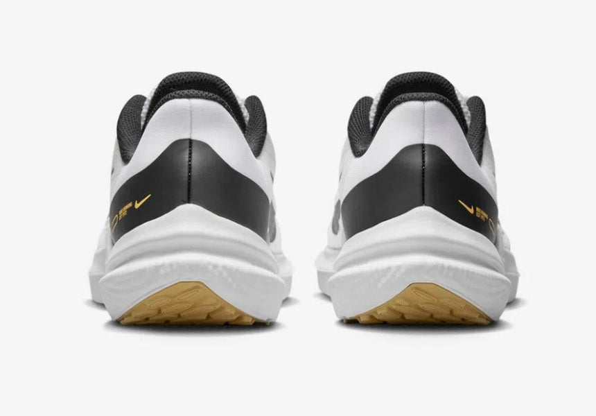 Nike Air Winflo 9 Women's Road Runn